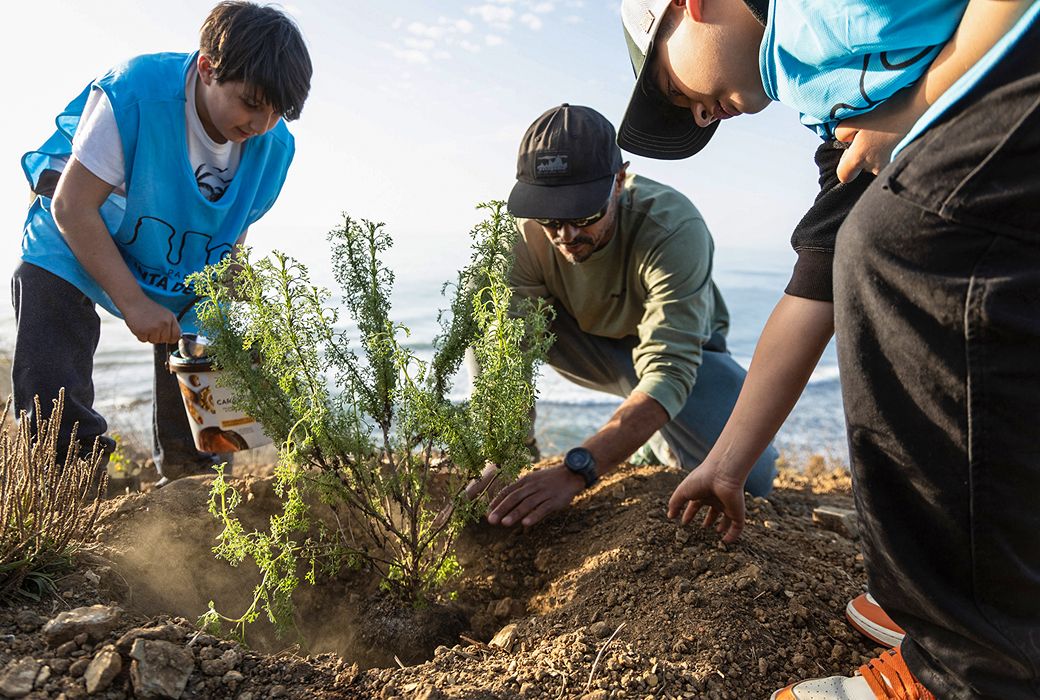 Volunteers planting coastal shrub