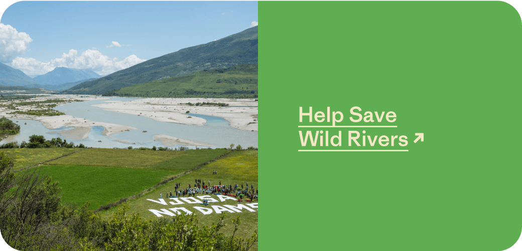 Help Save Wild Rivers