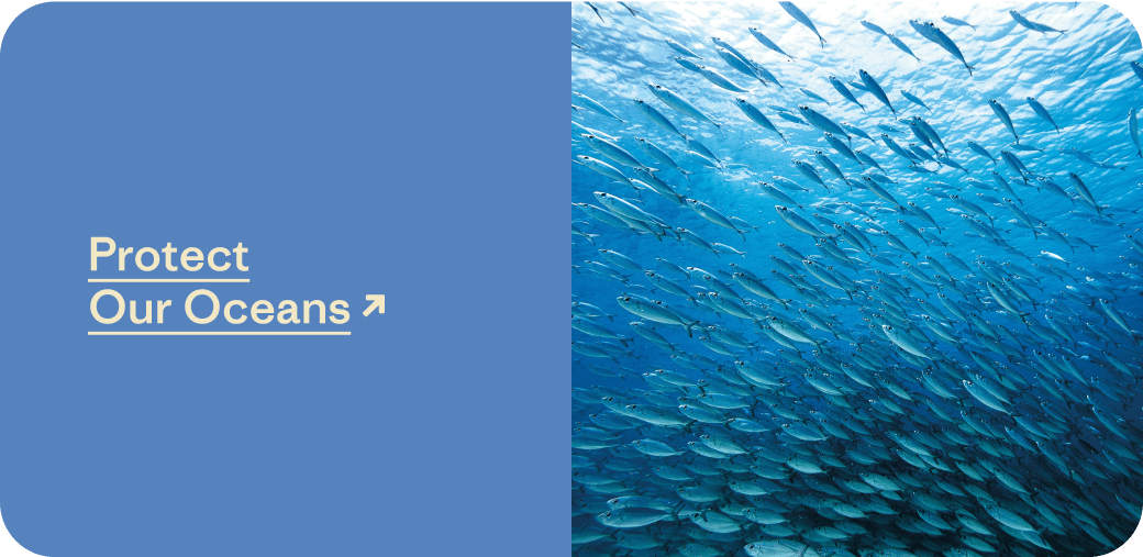 Protect Our Oceans