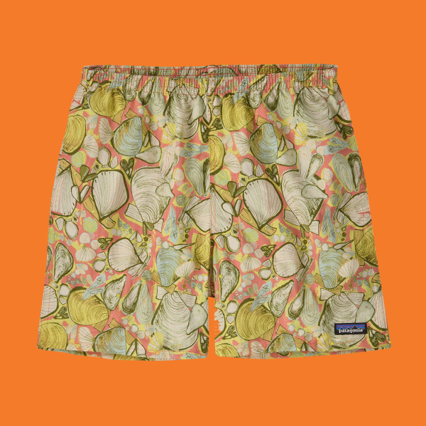 clothes
