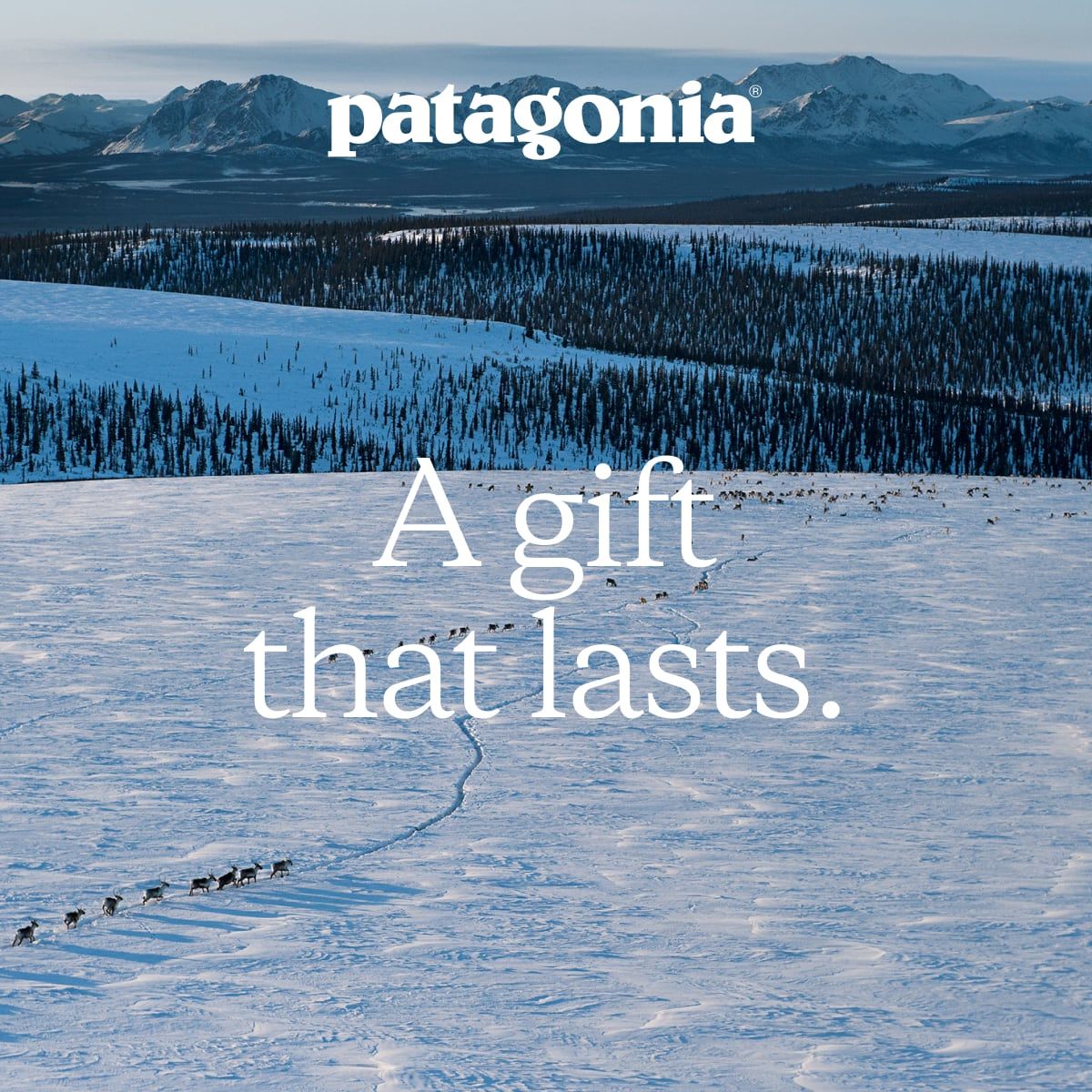 A gift that lasts.