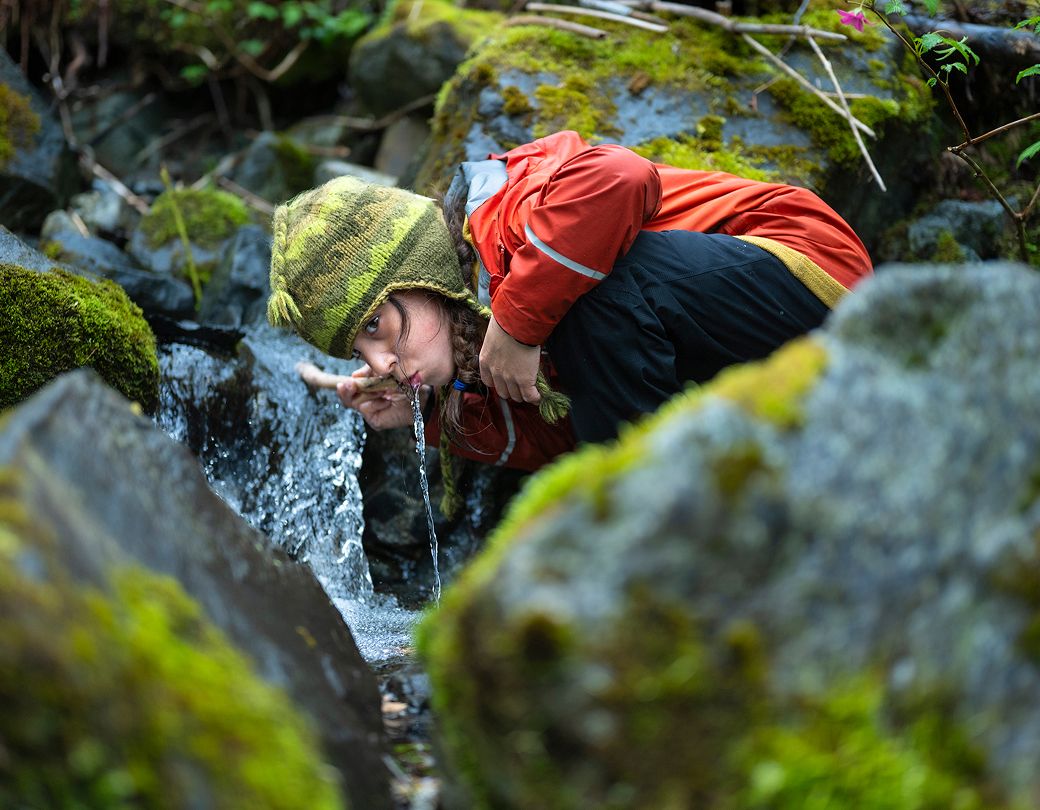 Drinking forest water